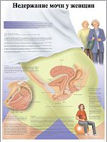 ZVR6542L ���������� ���� � ������