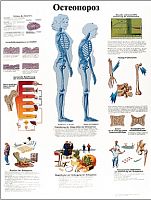 ZVR6121L ����������